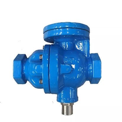 ������������ֹ��